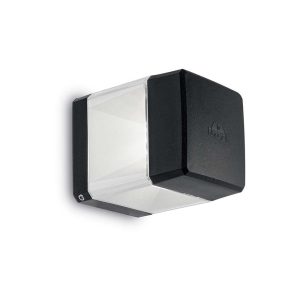 ELISA AP1 BLACK